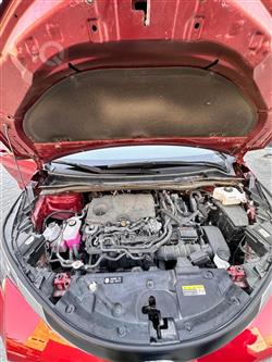 تۆیۆتا سیانا